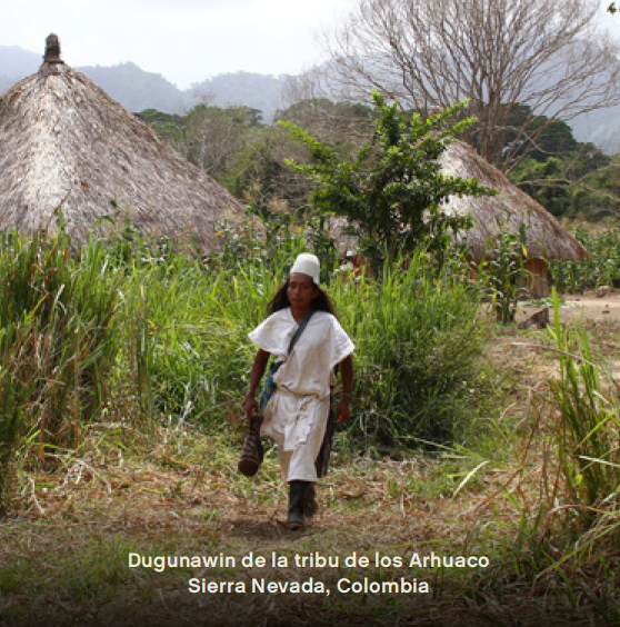 Arhuaco Businchari 82%, Tribu Arhuaco, Colombia. Harmonioso y especiado. Tribal