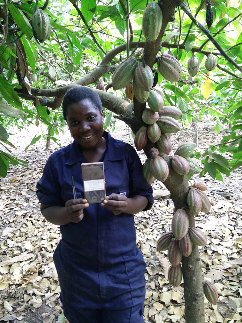 Udzungwa 70% con Nibs de cacao, Udzungwa, Tanzania. Cálidas notas de naranja y toffee, ecológico